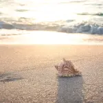 Tornare in forma rapidamente in vista  dell’estate: 5 consigli da non perdere